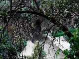 (88) Gole dell'Alcantara.JPG
